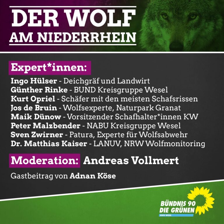 Digitale Expertenrunde zum Thema Wolf